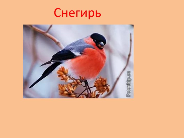 "Земля - наш общий дом"