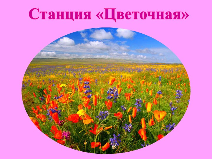 "Земля - наш общий дом"