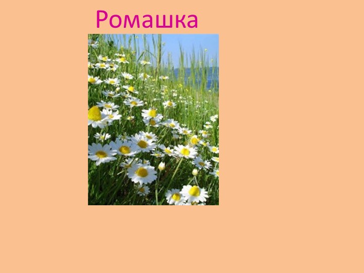 "Земля - наш общий дом"