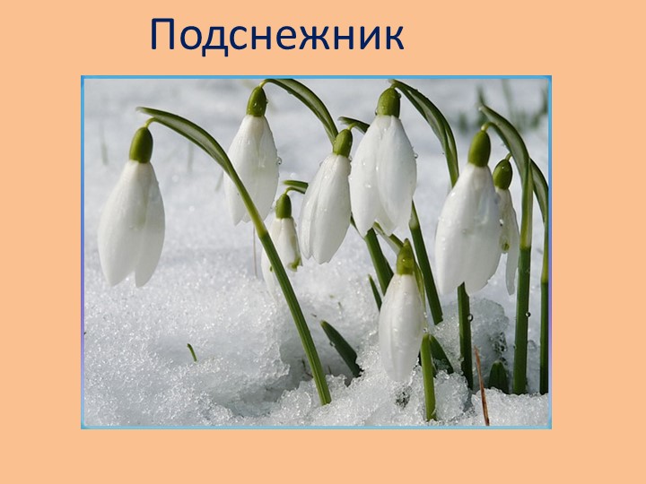 "Земля - наш общий дом"