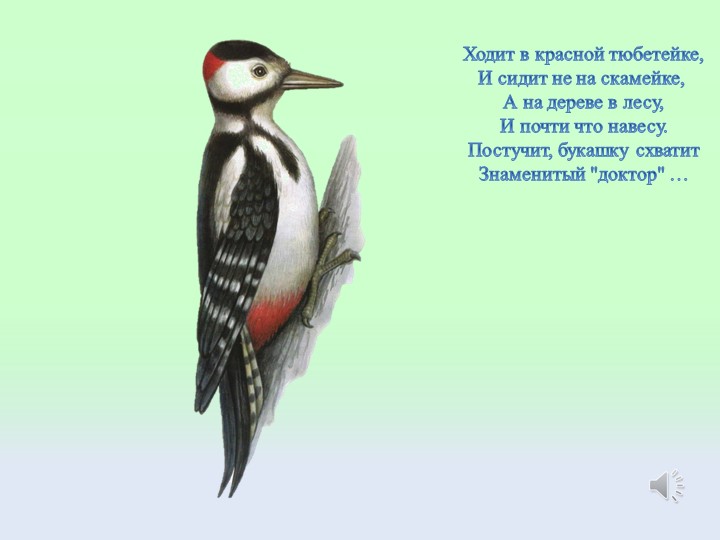 Презентация "Птицы" Подготовительная группа ДОУ