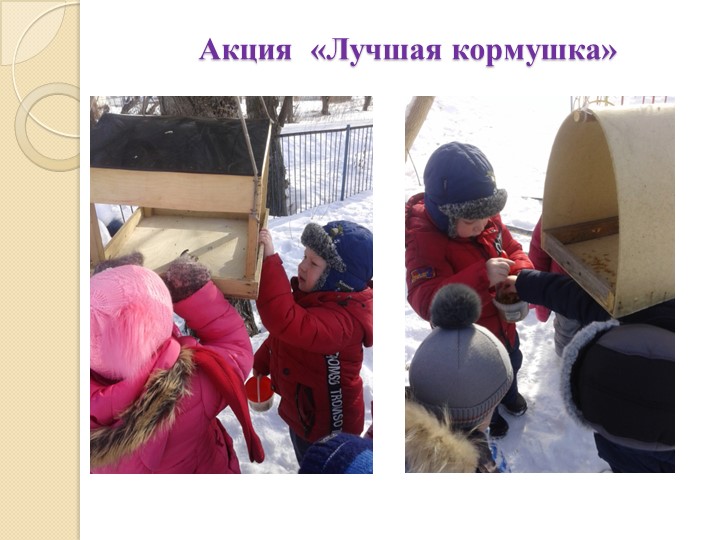 Презентация на тему "Экология и мы"