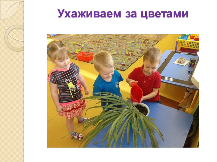 Презентация на тему "Экология и мы"