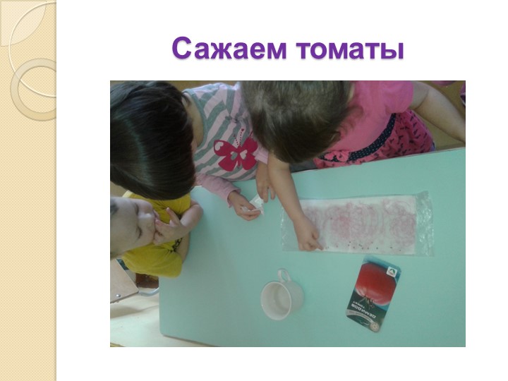 Презентация на тему "Экология и мы"