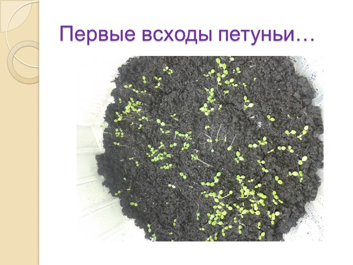 Презентация на тему "Экология и мы"