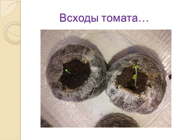 Презентация на тему "Экология и мы"