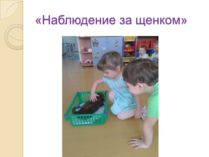 Презентация на тему "Экология и мы"
