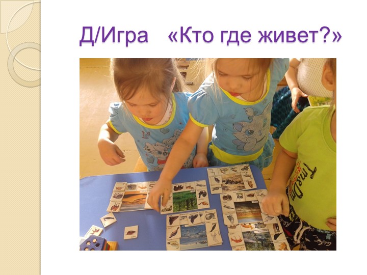 Презентация на тему "Экология и мы"