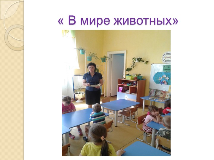 Презентация на тему "Экология и мы"