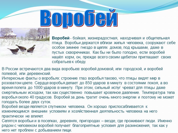 "Зимующие птицы Тамбовской области"