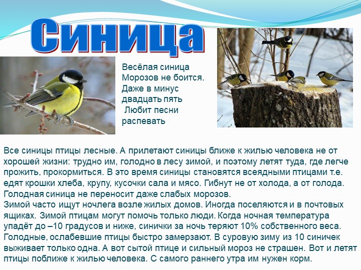"Зимующие птицы Тамбовской области"