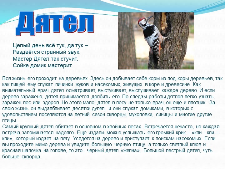 "Зимующие птицы Тамбовской области"