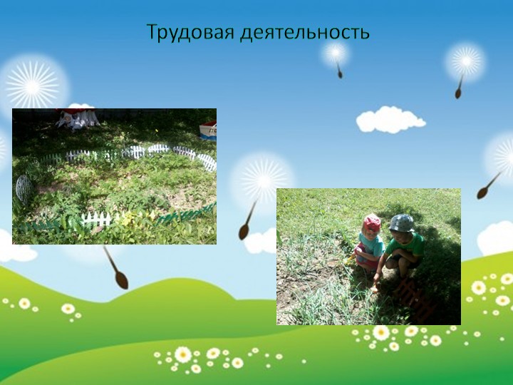 Отчет по воспитательно-образовательной деятельности за летний период 2016г. в МБДОУ №4 " Оранжевое лето" (средняя группа)