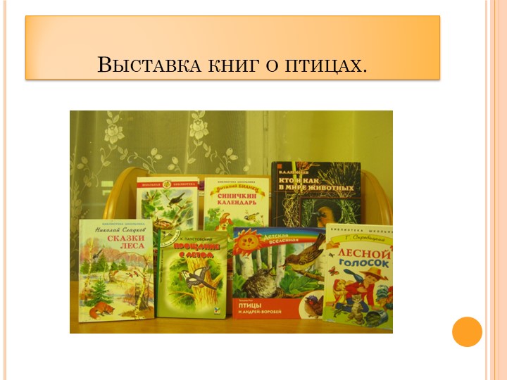 Проект в ДОУ "Поможем птицам" подготовительная группа