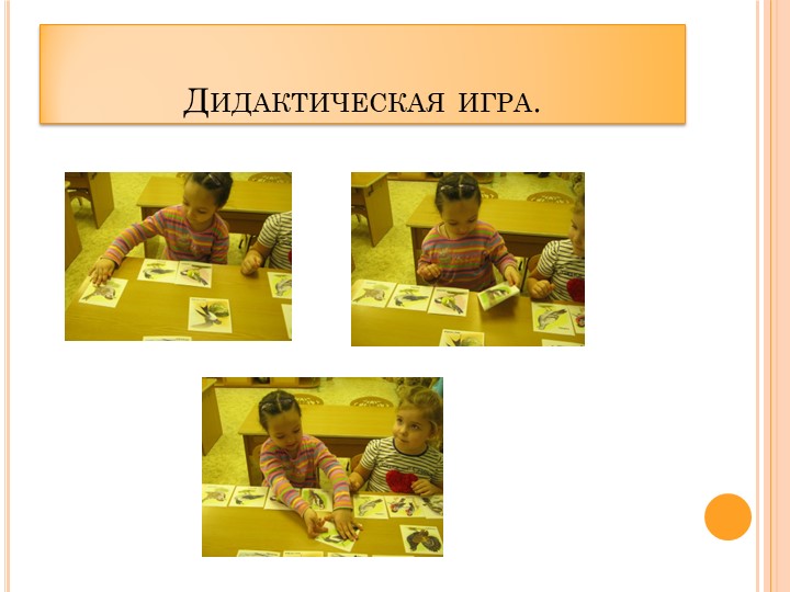Проект в ДОУ "Поможем птицам" подготовительная группа