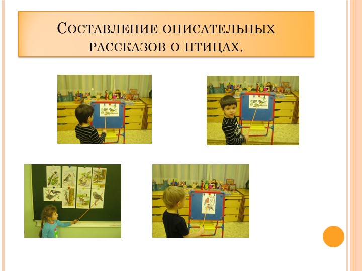 Проект в ДОУ "Поможем птицам" подготовительная группа