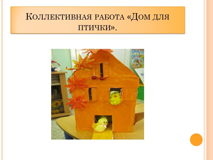 Проект в ДОУ "Поможем птицам" подготовительная группа