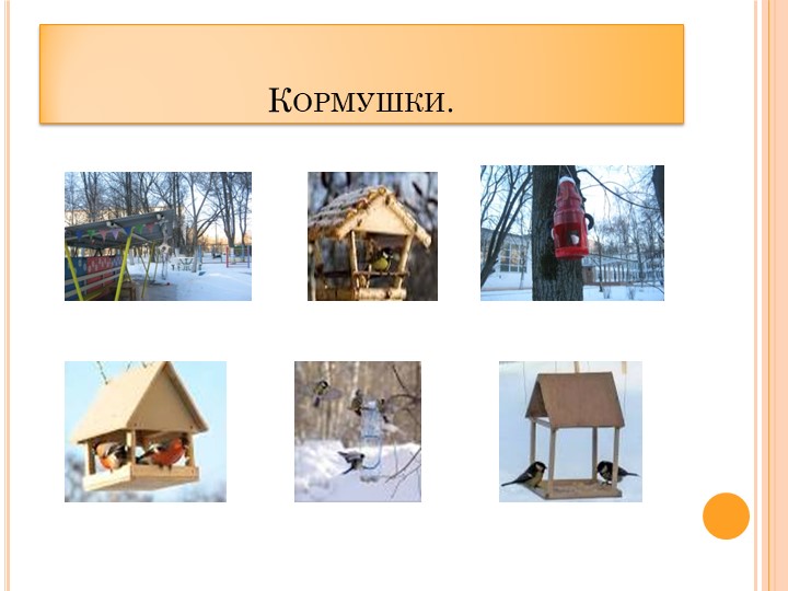 Проект в ДОУ "Поможем птицам" подготовительная группа