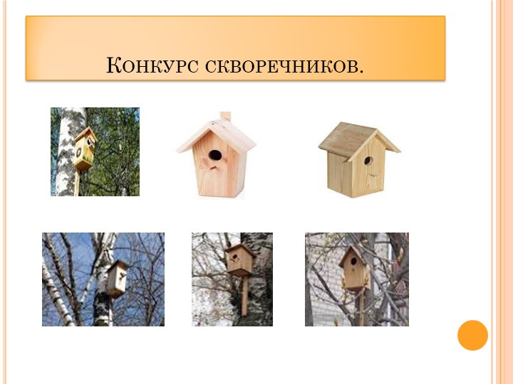 Проект в ДОУ "Поможем птицам" подготовительная группа