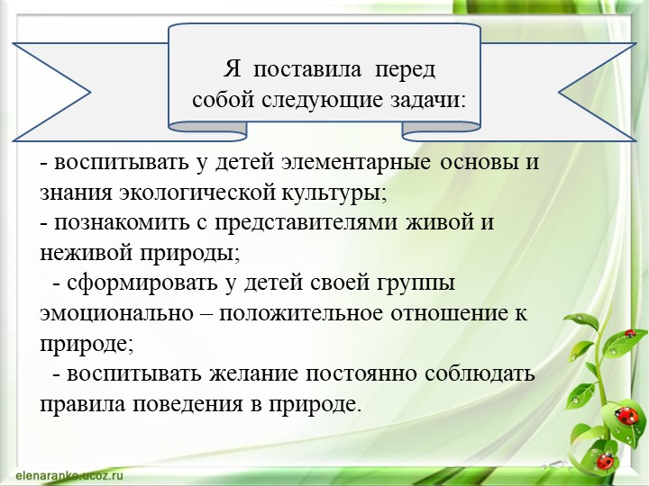 Презентация Экологическое воспитание дошкольника через интеграцию образовательных областей во второй младшей группе