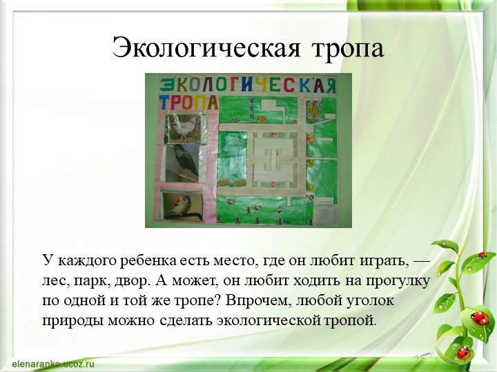 Презентация Экологическое воспитание дошкольника через интеграцию образовательных областей во второй младшей группе