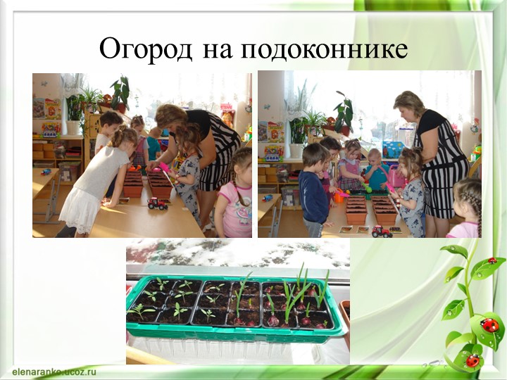 Презентация Экологическое воспитание дошкольника через интеграцию образовательных областей во второй младшей группе