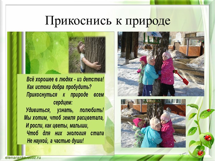 Презентация Экологическое воспитание дошкольника через интеграцию образовательных областей во второй младшей группе