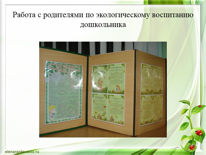 Презентация Экологическое воспитание дошкольника через интеграцию образовательных областей во второй младшей группе