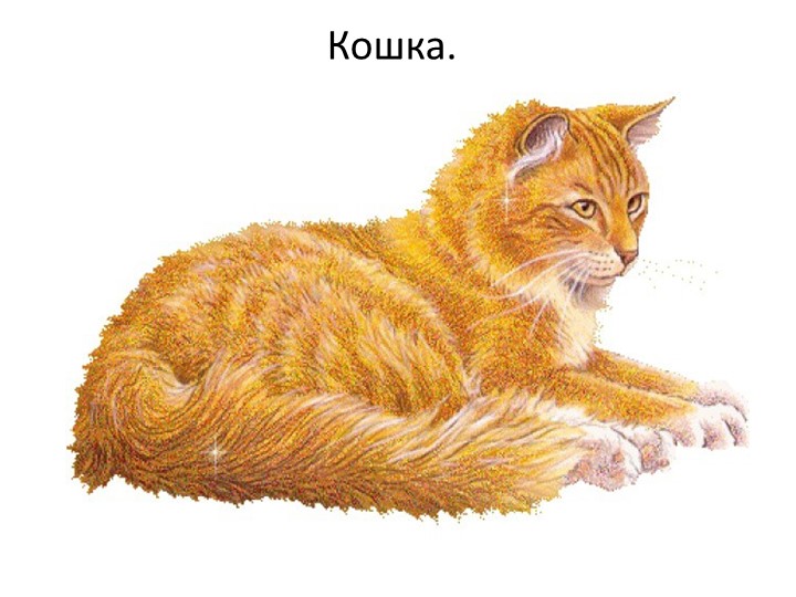 Презентация "Кто живет у бабушки в деревне?"