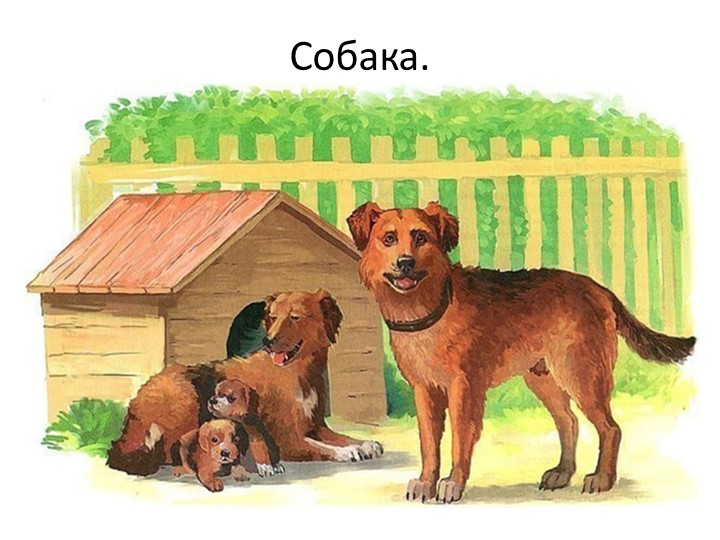 Презентация "Кто живет у бабушки в деревне?"