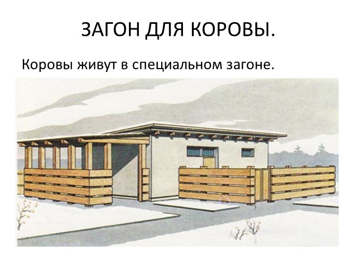 Презентация "Кто живет у бабушки в деревне?"