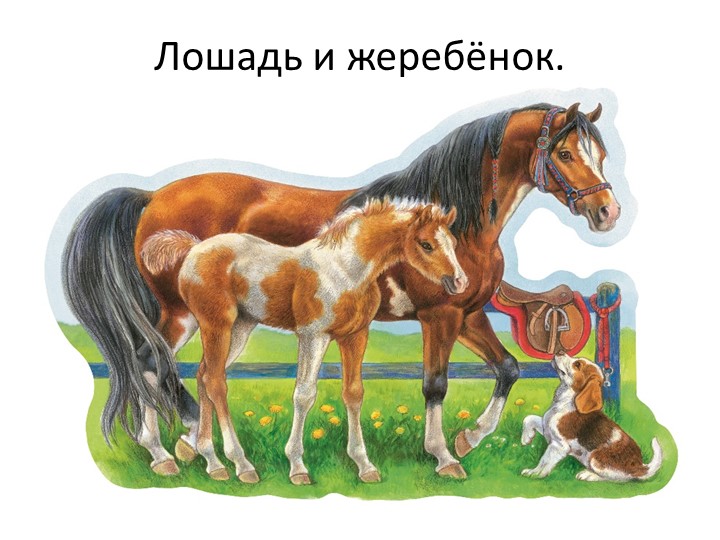 Презентация "Кто живет у бабушки в деревне?"