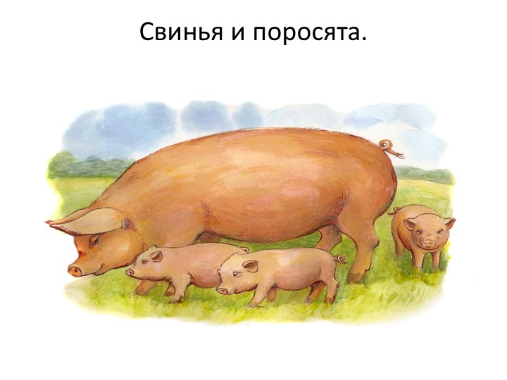 Презентация "Кто живет у бабушки в деревне?"