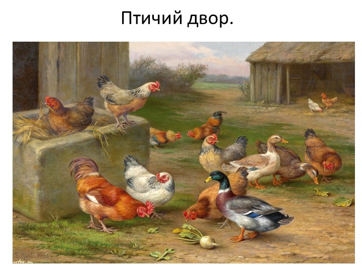 Презентация "Кто живет у бабушки в деревне?"