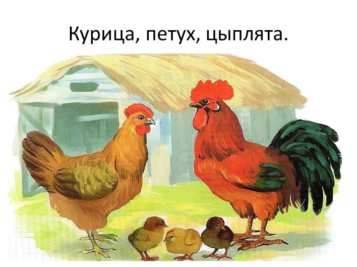 Презентация "Кто живет у бабушки в деревне?"
