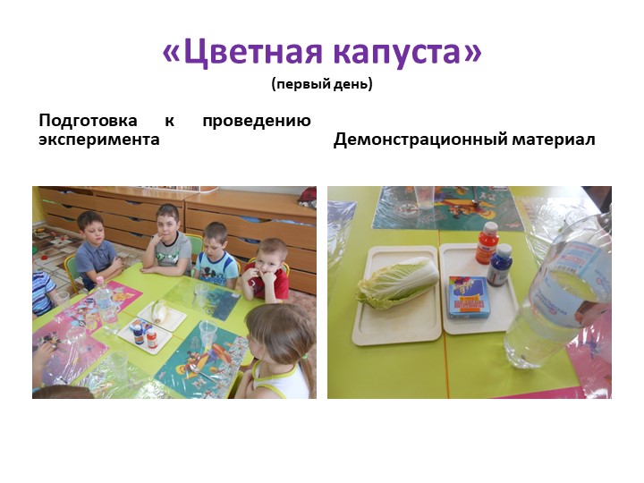 Презентация "Детское экспериментирование как средство развития познавательной активности дошкольников"