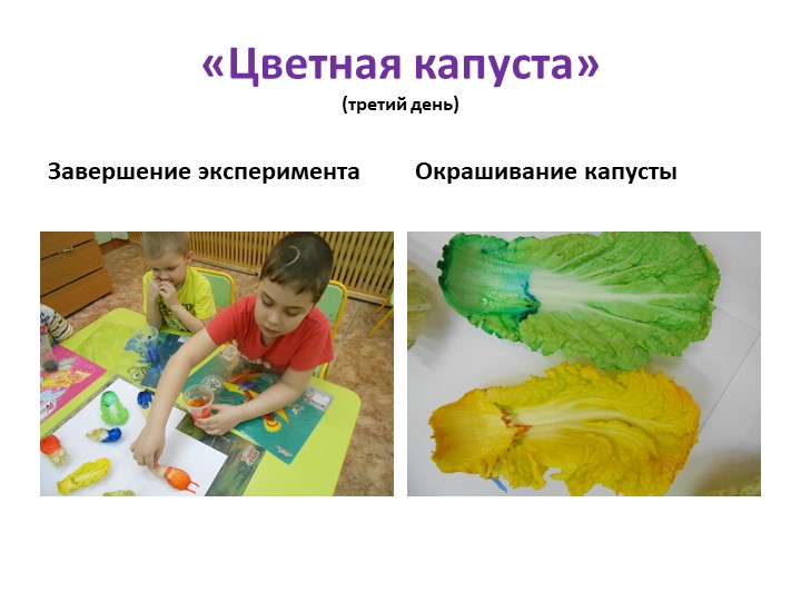 Презентация "Детское экспериментирование как средство развития познавательной активности дошкольников"