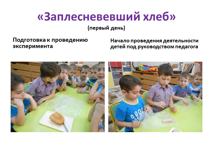 Презентация "Детское экспериментирование как средство развития познавательной активности дошкольников"