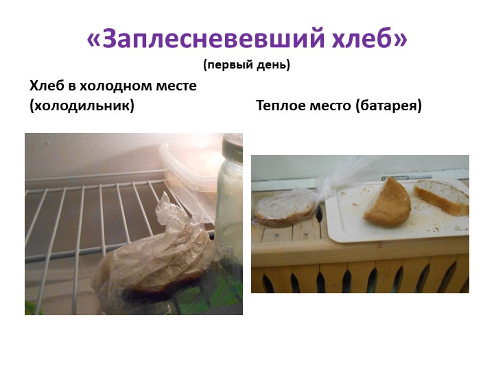 Презентация "Детское экспериментирование как средство развития познавательной активности дошкольников"