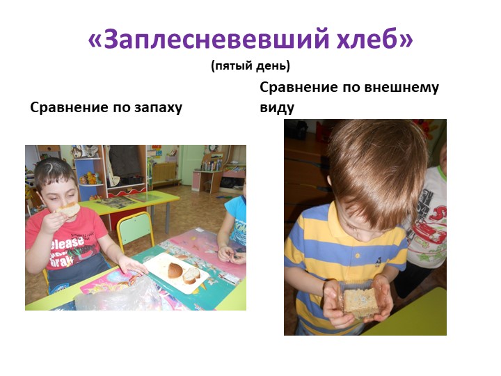 Презентация "Детское экспериментирование как средство развития познавательной активности дошкольников"