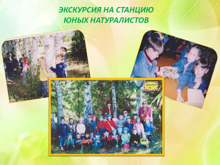 Презентация "Экологическое воспитание в ДОУ"