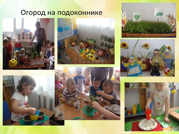 Презентация "Экологическое воспитание в ДОУ"