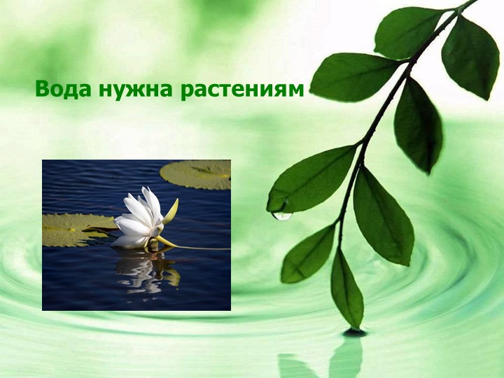 Презентация для подготовительной группы о свойствах воды «Волшебник воды»