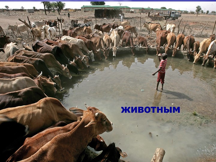 Презентация для подготовительной группы о свойствах воды «Волшебник воды»