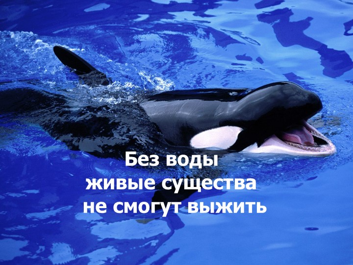 Презентация для подготовительной группы о свойствах воды «Волшебник воды»