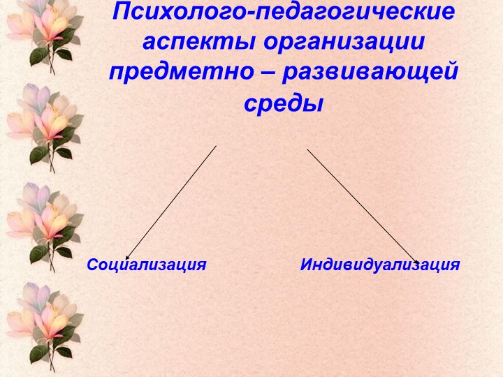 Презентация "Предметно- пространственная среда в ДОУ"
