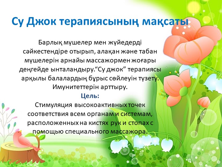 Презентация Су Джок терапии