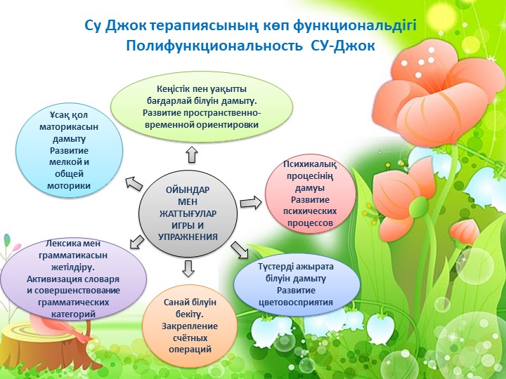 Презентация Су Джок терапии