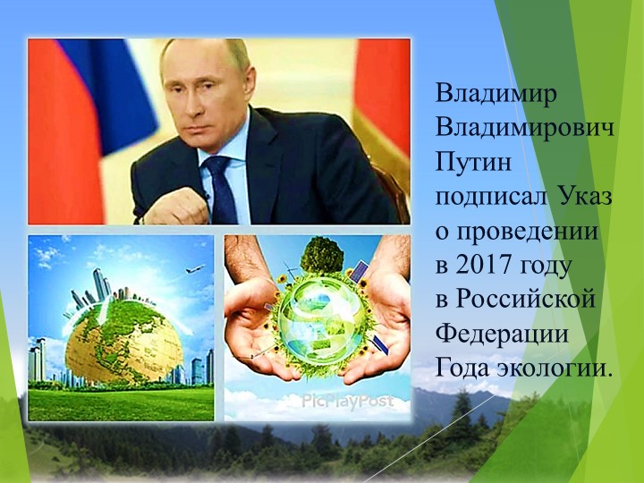 Презентация «Эффективная работа ДОУ по формированию основ экологической культуры детей старшего дошкольного возраста»