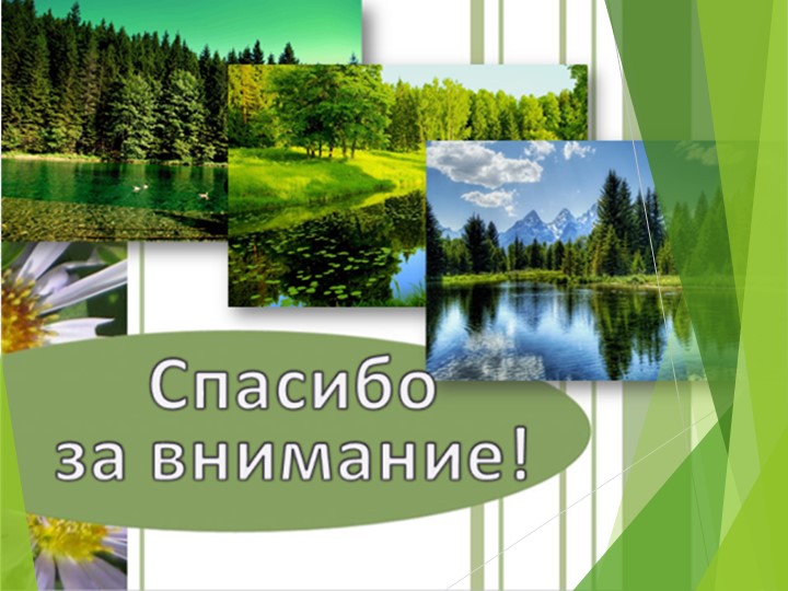 Презентация «Эффективная работа ДОУ по формированию основ экологической культуры детей старшего дошкольного возраста»